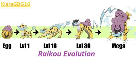 raikou hidden ability|raikou evolution chart.